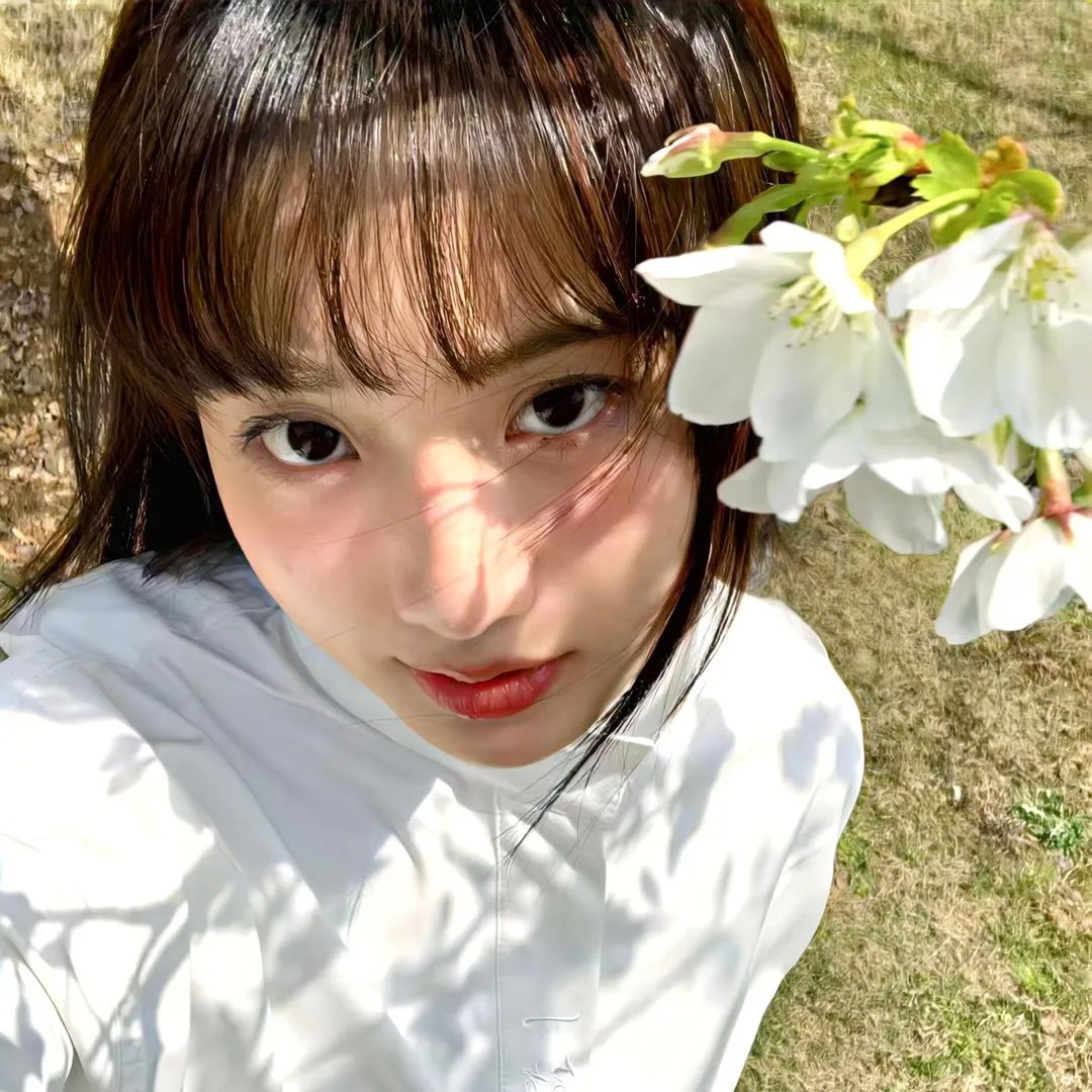 完美伴侣