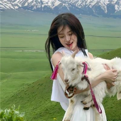 爱长颈鹿的女人